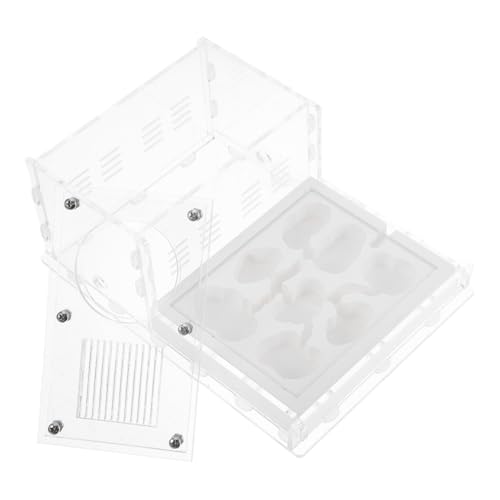 COLLBATH Ameisennest Aus Gips Ameisenschutz Seeaffen-kit Ameisen Formicarium Ameisenbehälter Ameisenlebensraum Fischschalen- Lebende Ameisen Ameisenterrarium Hormiguero Abs von COLLBATH