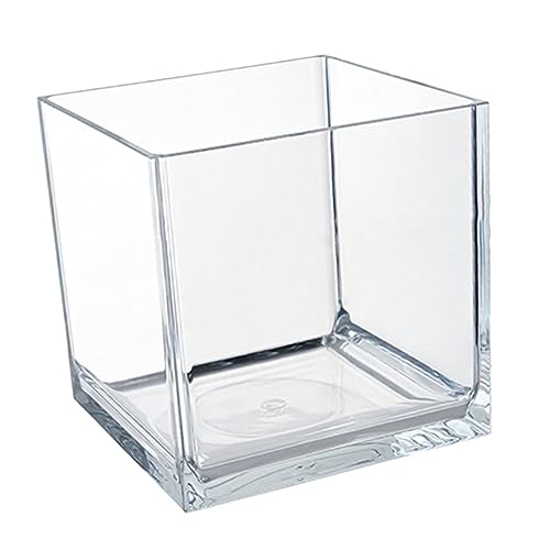 COLLBATH Aquarium Für Betta Fische Transparenter Desktop Fischbehälter Ideale Wohnungsdeko Und Heimtierbedarf Robustes Bruchsicheres Design von COLLBATH