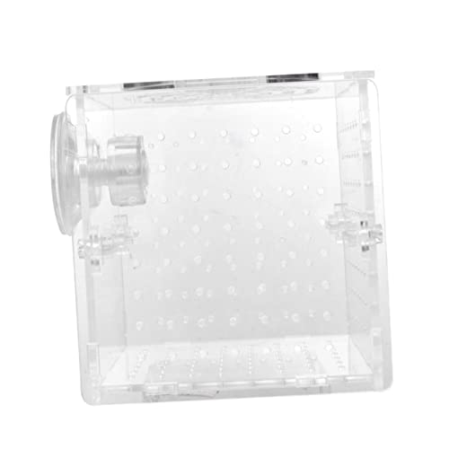 COLLBATH Box Isoliert Zuchttank Fischbrutkasten Netz Fischzuchtnetz Großer Laufstall Acryl Aquarium Fischtrenner Aquarium Probe Salzgarnelen Brüterei Laufstall Transparent von COLLBATH