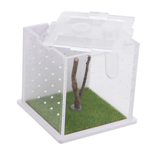 COLLBATH Terrarium-Box aus Acryl für Springspinnen Luftbefeuchter Insektenfütterungsöffnung Beobachtungsdesign für Reptilien von COLLBATH