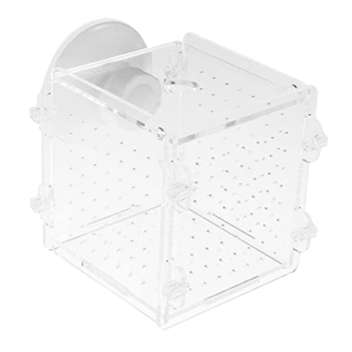 COLLBATH Fischzuchtbox mit Transparenter Abdeckung Isolationsbox für Aquarien Aufzuchtbecken für Jungfische Sicht Installieren mit Saugnäpfen COLLBATH Fischzuchtbox mit Transparenter Abdeckung Isolationsbox für Aquarien Aufzuchtbecken für Jungfische Sicht Installieren mit Saugnäpfen von COLLBATH