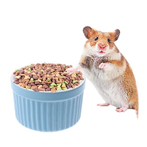 COLLBATH Futterautomat Für Hamster Katzen-Puzzle-Feeder Füttern Futternäpfe Für Haustiere Wurf Käfigmatte Welpen-kit Futterautomat Für Haustiere Kaninchen Heufütterung Futterspender Blue von COLLBATH