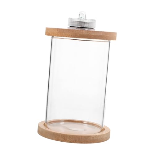 COLLBATH Desktop Fisch Tank Aquarium Tank Mit Beleuchtung Einfach Installieren Sauber Auslaufsichere Design Holz Deckel Basis Fisch von COLLBATH