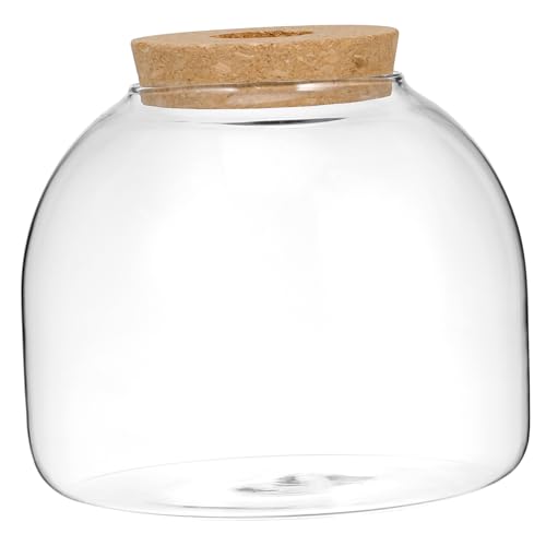 COLLBATH Terrariumgläser Öko-Flasche mit Hydrokulturpflanzen Glas-Terrariumglas für Ökosystem von COLLBATH