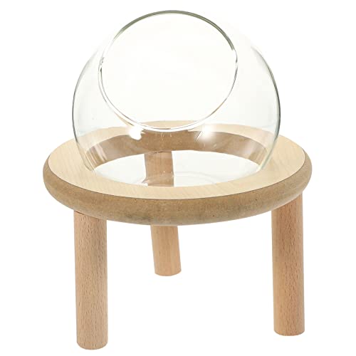 COLLBATH Hamsterbett Hamsterzubehör Hamster-Duschbadewanne Hamsterbadesand Hamster klo Hamster Terrarium Anlage Zubehör für Aquarien Haushalt Hamster Badezimmer klarer Sandkasten Glas von COLLBATH