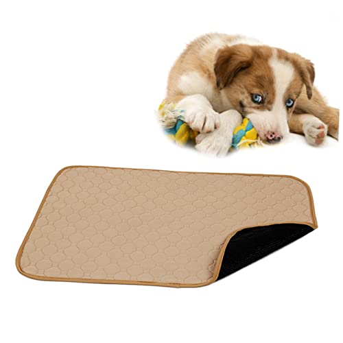 COLLBATH Hunde-PIPI-pad Toilettenmatte Trainingsunterlagen Für Haustiere Haustier-PIPI-pad Waschbare Welpenunterlage Katzenschermaschine, Hundehaarschneider Matte PIPI-Pads Beige von COLLBATH