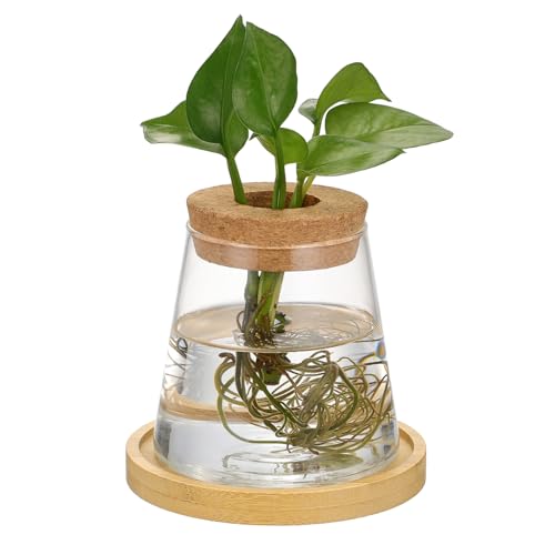 COLLBATH Hydroponische Vase Garten Hängende Ornamente Grammskala Digitale Waage Ziervase Flüssig Deckenfenster Anlage Halter Für Raumteiler Hydroponische Behältervase Transparent Holz von COLLBATH