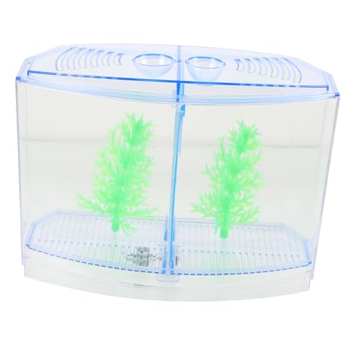 COLLBATH Fischtank-isolierbox Für Betta-Aquarium Garnelenbox Aus Plastik Box Für Fischzucht Im Haushalt Fischzuchttank Mit Trennwand Fischboxhalter Für Kleine Fische COLLBATH Fischtank-isolierbox Für Betta-Aquarium Garnelenbox Aus Plastik Box Für Fischzucht Im Haushalt Fischzuchttank Mit Trennwand Fischboxhalter Für Kleine Fische von COLLBATH