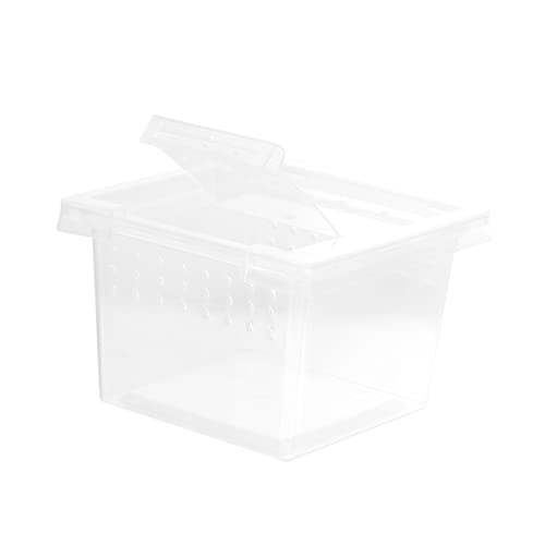 COLLBATH Kasten Aufzuchtbox für Insekten kleines Terrarium Heimtierbedarf Reptilien inkubator Reptilienfutterbox Haustier Reptilienterrarium Reptilien Zuchtbehälter Plastik Transparent von COLLBATH