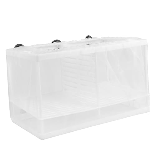 COLLBATH Zuchtbox für Aquarienfische Fisch-Inkubator-Separator stabiles Material Fisch-Laich-Inkubator-Box für Betta-Aquarium von COLLBATH