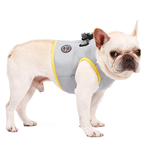 COLLBATH Kühlweste Hunde kühlung Hunde abkühlung Dog Cooling Vest Hundekühlung Welpengeschirr Sommer-Tanktops laufweste Muskelshirt Kühljacke für Haustiere Coole Weste für Haustier von COLLBATH