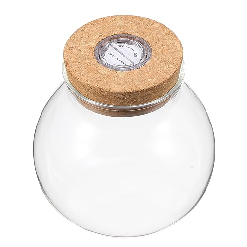 COLLBATH Landschaftsflasche Vase mit hellem Fisch Ecosphere-Schüssel Aquarium- Behälter Anlage led ligts led-Light Pflanzengestell -Kit Wohnkultur dekorative Glasvase Holz Weiß von COLLBATH