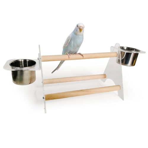 COLLBATH Futterspender Für Papageien Desktop-zubehör Papageienspielzeug Papageienschale Vogelämisch Vogelbarsch Vogelspielzeug Zur Linderung Von Langeweile Feeder Acryl Bambus von COLLBATH