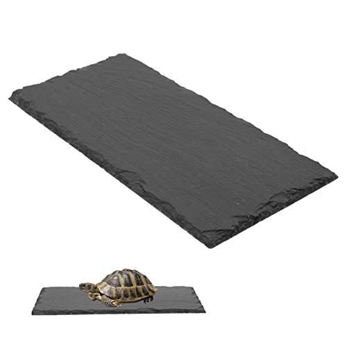 COLLBATH Tablett Reptil Fütterung Platte Futter Fütterung Becken 25x12cm Stein Lebensmittel Becken Für Schildkröte COLLBATH Tablett Reptil Fütterung Platte Futter Fütterung Becken 25x12cm Stein Lebensmittel Becken Für Schildkröte von COLLBATH