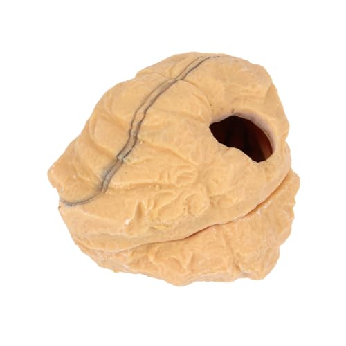 COLLBATH Crawler Shelter Cave Reptile Supplies Gemütliches Und Warmes Versteck Für Einsiedlerkrebse Spinnen Und Eidechsen Größe S von COLLBATH