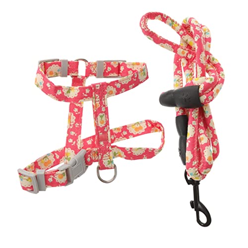 COLLBATH Verstellbares Katzengeschirr Mit Leine Fluchtsicheres Katzen Harness Mit Blumenmuster Ideal Für Outdoor Aktivitäten Für Katzen Und Kätzchen Größe von COLLBATH