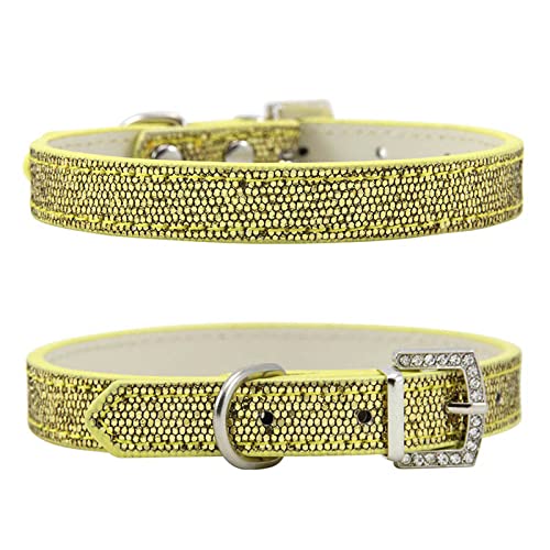 Strassnieten Katzenhalsband Leder Kleine Hundehalsbänder Welpenhalsband für Kätzchenzubehör,Goldenes Hundehalsband,XL von COLORFULMALL