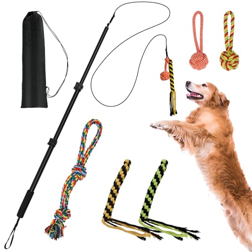Flirtstange für Hunde, ausziehbare Hunde-Flirtstange mit abnehmbarem interaktivem Spielzeug, Hunde-Teaser Zauberstab mit Köder, Kauspielzeug für Outdoor-Übung und Training, interaktives Hundespielzeug Flirtstange für Hunde, ausziehbare Hunde-Flirtstange mit abnehmbarem interaktivem Spielzeug, Hunde-Teaser Zauberstab mit Köder, Kauspielzeug für Outdoor-Übung und Training, interaktives Hundespielzeug von COM4SPORT