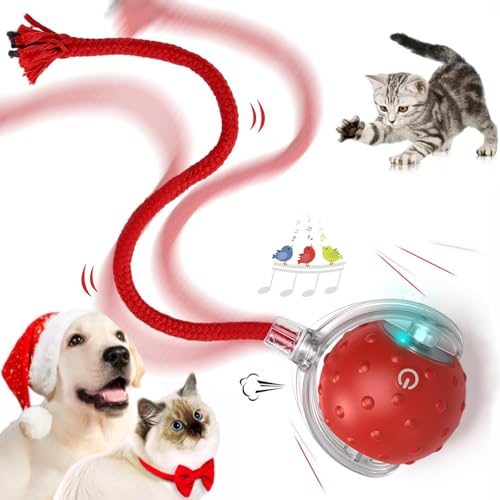 Interaktiver Katzenball, Wiederaufladbare Hundespielzeugbälle, Hund Rollball mit LED-Licht, Langlebiger High Bounce Schwimmender Gummi-Katzenball für Kätzchen, Welpen (Rot) von COMBLU