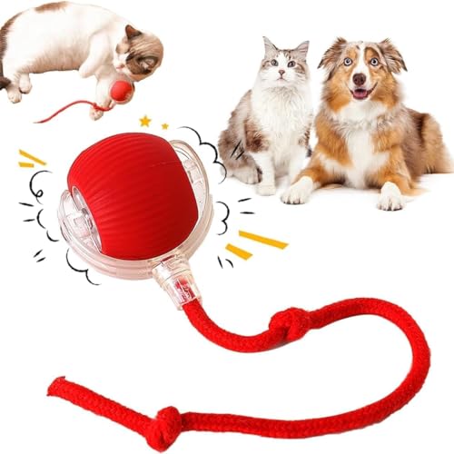 Interaktiver rollender Hundeball, interaktiver Katzenspielzeug, Chewie, viraler Hundeball, intelligenter automatischer rollender Haustierball für Katzen, Hunde, bewegungsaktiviert, Rot von COMBLU