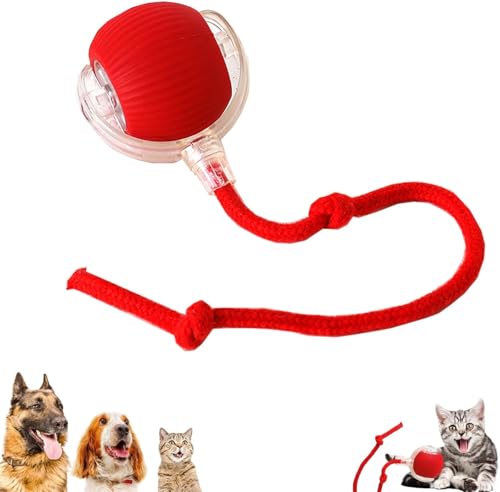 Interaktiver rollender Hundeball, interaktiver Katzenspielzeug, Chewie, viraler Hundeball, intelligenter automatischer rollender Haustierball für große und kleine Hunde, bewegungsaktiviert, Rot von COMBLU