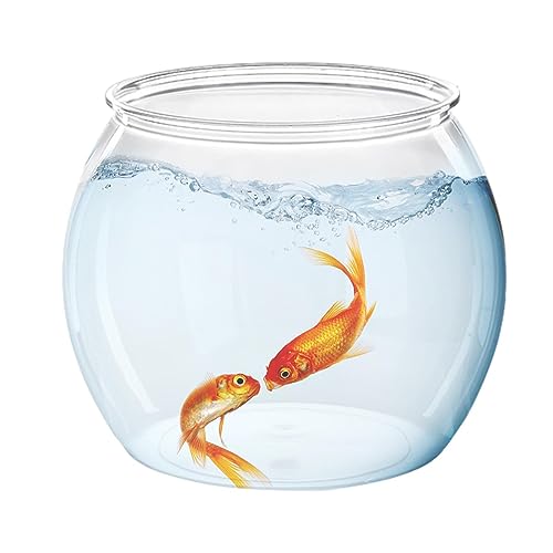 Fish Bowls, Round Fish Tank, Small Clear Round Fish Bowl Aquarium, Fish Bowl Vase for Tabletop, Round Fish Bowl for Living Room, Apartment, Offices, Home for Goldfish, Betta Fish von COMFOLIVING