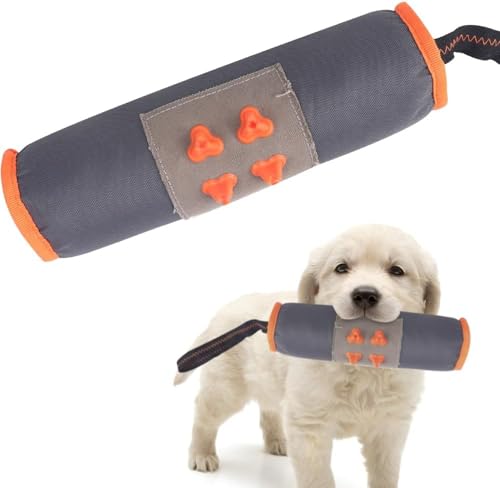 COMFPET Hundespielzeug aus Plüsch, Spielzeug für aggressives Kauen, Zahnreinigung, Kauspielzeug mit Quietscher gegen Langeweile, Outdoor-Spielzeug für kleine, mittelgroße und große Hunde (Stick) von COMFPET