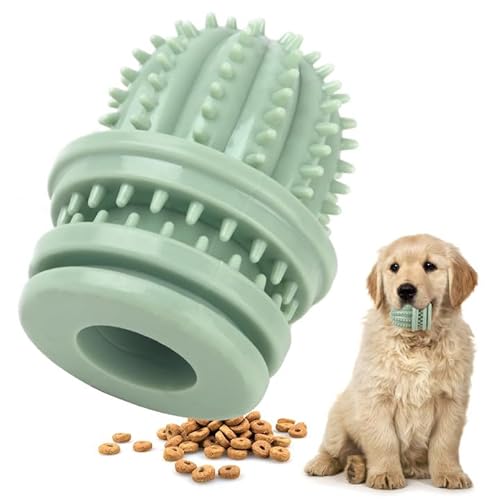 COMFPET Kauspielzeug für Hunde, Gummispielzeug für Welpen, Kauspielzeug für Hunde, Interaktives Spielzeug für kleine/mittelgroße Hunde, Kaktusform (grün) von COMFPET