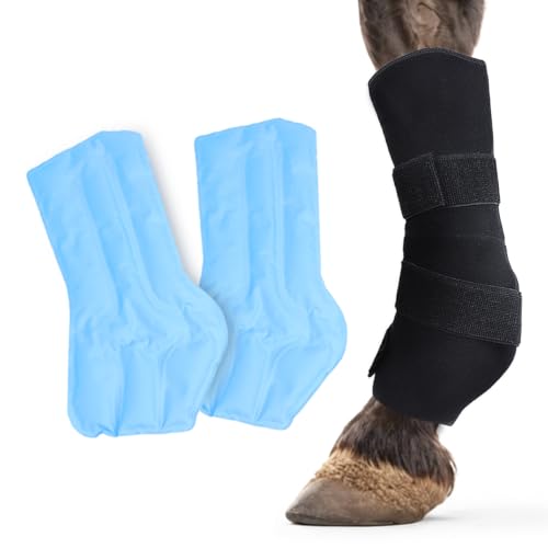 COMFPET Kühlgamaschen für Pferde, Wiederverwendbare Gamaschen Pferd für Verletzungen, Kühlung Pferd Knie 1 Bandage mit 2 Kühlakkus für Stiefel, und Hufe (1 Stück) von COMFPET