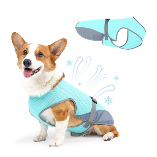 COMFPET Kühlweste für den Sommer, leichte Hundekühlshirt, UV-Schutz, Kühlgeschirr für Outdoor-Aktivitäten mit atmungsaktivem Netzgewebe, Größe M (Blau) von COMFPET