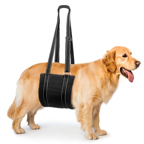 COMFPET-US-Back Leg Sling Thickened-M von COMFPET