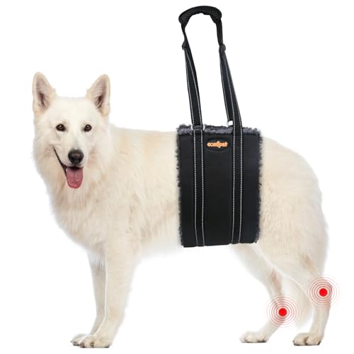 COMFPET-US-Back Leg Sling Thickened-M von COMFPET