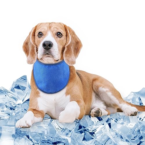 Comfpet Kühlende Halstuch für Hund, Hunde Bandana, Kühlende Hundehalsbänder kühlhalsband für Hunde, Kühlendes Hundehalsband, Kühlendes Halstuch für Hunde Sommer, Blau M von COMFPET