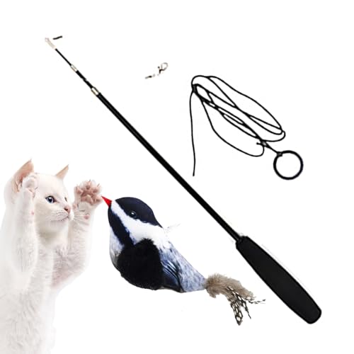 COOBAA Cat Teasing Stick – Vogel-Design Zauberstab Federspielzeug – Tragbares interaktives Katzenfederspielzeug, Quietschendes Katzenspielzeug für kleine, mittelgroße Kätzchen, Katze, Welpen von COOBAA