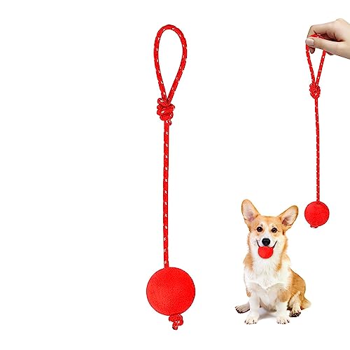 COOBAA Hunde-Wasserschwimmer-Spielzeugball, Gummiseilbälle für Hunde, Wiederverwendbare Gummi-Hundeseilbälle für kleine, mittelgroße und große Hunde, Ball auf einem Seilhundespielzeug zum Trainieren von COOBAA