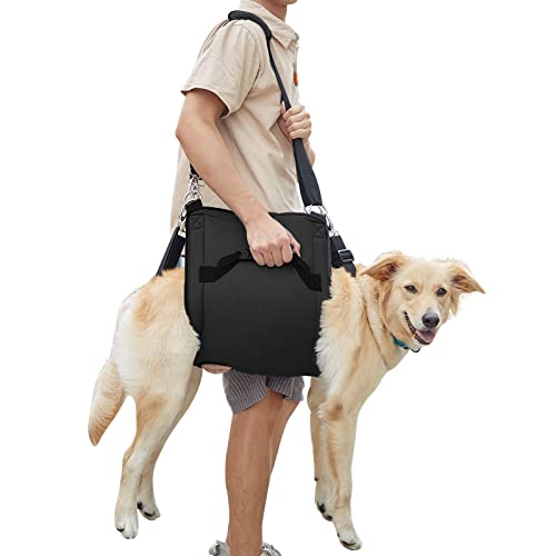 COODEO Hundetragegurt, Notfallrucksack Unterstützung für Rehabilitation Hundelift Geschirr, Hundeträger für ältere Hunde Gelenkverletzungen, Arthritis, Treppe hinauf (2XL,Schwarz) von COODEO