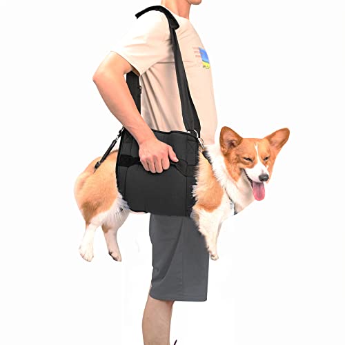 COODEO Hundetragegurt, Notfallrucksack Unterstützung für Rehabilitation Hundelift Geschirr, Hundeträger für ältere Hunde Gelenkverletzungen, Arthritis, Treppe hinauf (L,Schwarz) von COODEO