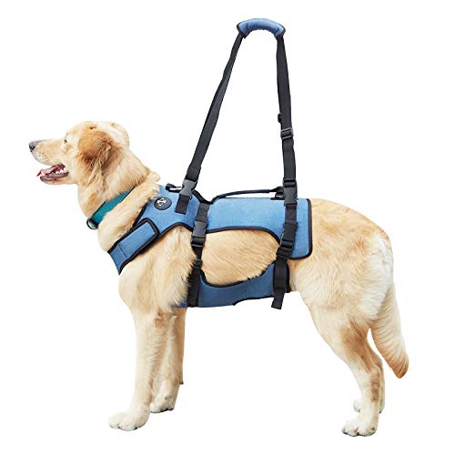 Coodeo Hundelift Geschirr, Unterstützung und Recovery Sling, Haustier Rehabilitation Lifts Weste Atmungsaktive Pad für alte, Gelenkverletzungen, Arthritis, Paralyse Hunde(Blau, XXL) von COODEO