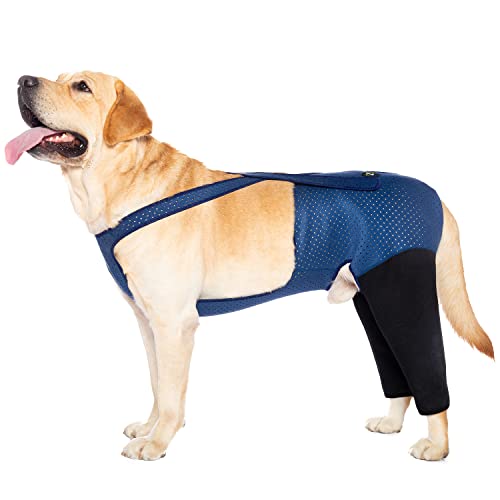 Coodeo Hundegenesungskleidung, abriebfestes Rückenteil für Hundegenesung, waschbar und wasserdicht, verhindert bei Haustierverletzungen, DASS das Tier Sich selbst leckt(XL, blau) von COODEO