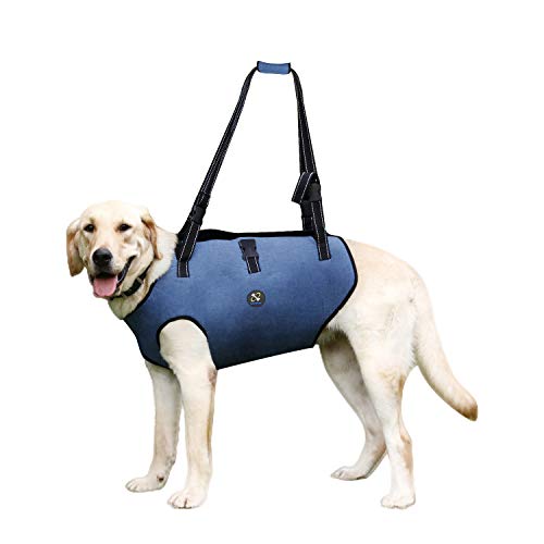 Coodeo Hundeliftgeschirr, Haustierunterstützung & Rehabilitation Sling Lift Verstellbare Gepolsterte atmungsaktive Gurte für Alt, Gelenkverletzungen, Arthritis, Stabilitätsverlust Hunde(Blau, L) von COODEO