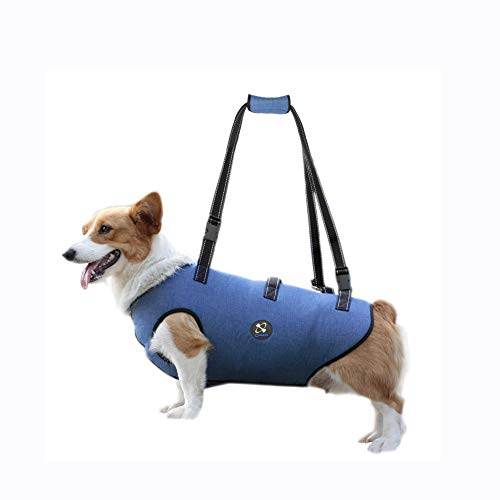 Coodeo Hundeliftgeschirr, Haustierunterstützung & Rehabilitation Sling Lift Verstellbare Gepolsterte atmungsaktive Gurte für Alt, Gelenkverletzungen, Arthritis, Stabilitätsverlust Hunde(Blau, M) von COODEO