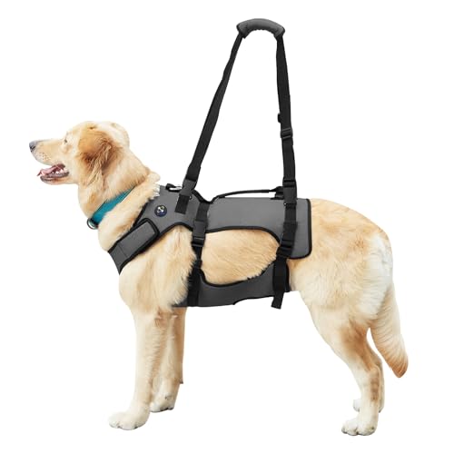 Coodeo Hundelift Geschirr, Unterstützung und Recovery Sling, Haustier Rehabilitation Lifts Weste Atmungsaktive Pad für alte, Gelenkverletzungen, Arthritis, Paralyse Hunde(Blau, M) von COODEO