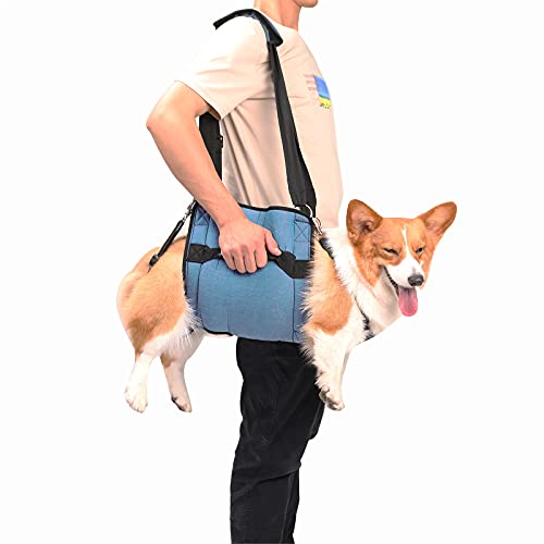 Coodeo Hundetragegurt, Notfallrucksack Unterstützung für Rehabilitation Hundelift Geschirr, Hundeträger für ältere Hunde Gelenkverletzungen, Arthritis, Treppe hinauf (L, Blau) von COODEO