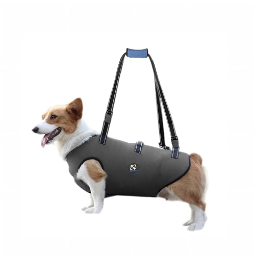 Coodeo Hundeliftgeschirr, Haustierunterstützung & Rehabilitation Sling Lift Verstellbare Gepolsterte atmungsaktive Gurte für Alt, Gelenkverletzungen, Arthritis, Stabilitätsverlust Hunde(Schwarz, XS) von COODEO