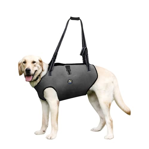 Coodeo Hundeliftgeschirr, Haustierunterstützung & Rehabilitation Sling Lift Verstellbare Gepolsterte atmungsaktive Gurte für Alt, Gelenkverletzungen, Arthritis, Stabilitätsverlust Hunde(Schwarz, XS) von COODEO