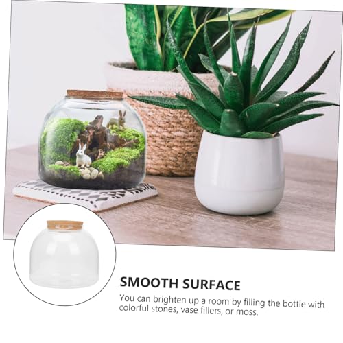 COOPHYA Transparent Glas Terrarium Ecological Bottle DIY Mikrolandschaft mit Moos für Wohnzimmer Bürodekoration Klar Sichtbar Kreatives Pflanzgefäß mit Holzverschluss COOPHYA Transparent Glas Terrarium Ecological Bottle DIY Mikrolandschaft mit Moos für Wohnzimmer Bürodekoration Klar Sichtbar Kreatives Pflanzgefäß mit Holzverschluss von COOPHYA