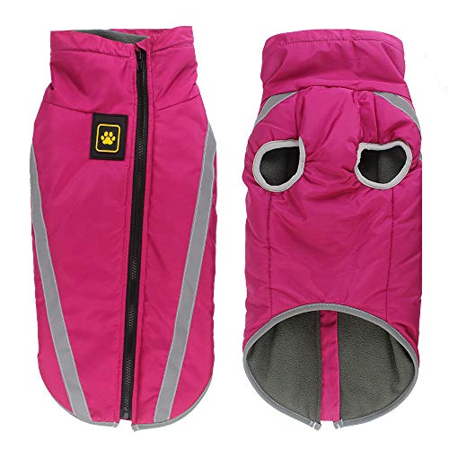 CORGIOLOGY | HT-677 | Hundemantel für alle Hunde, Fashion, Hunde Wintermantel, Hundejacke für alle Hunde geeignet, 4 Farben verfügbar (2XL, PINK) von CORGIOLOGY