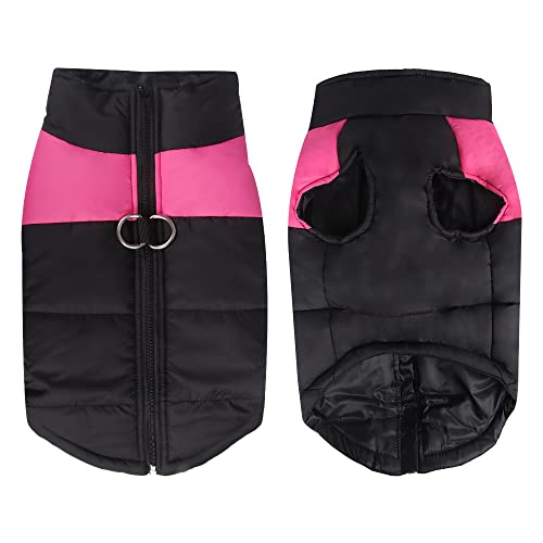 CORGIOLOGY | HT-678 | Hundemantel für alle Hunde, Fashion, Hunde Wintermantel, Hundejacke für alle Hunde geeignet, 4 Farben verfügbar (XXL, PINK) von CORGIOLOGY