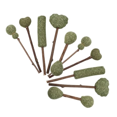 CORHAD 10St Katzenminze Katzen Wellness katzenpflege katzenspielzeuge katzenbedarf Leckereien für Katzen Silvervine-Sticks für Katzen Spielzeug für Katzenfutter essbare Katzensnacks von CORHAD