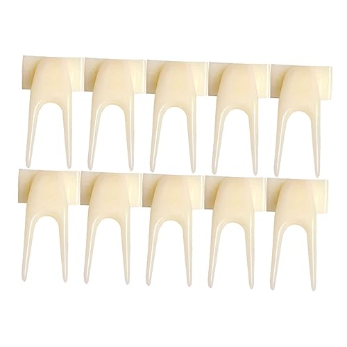 CORHAD 20st Vogel Frucht Obstgabel Für Haustiere Fruchtgabel Papageien-Feeder-Clips Vogelkäfig Futterhalter Papageienkäfig Obsthalter Vogel-Frucht-Clips Snacks Beige Plastik von CORHAD